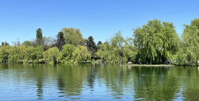 overview of IOR Park Bucharest, view of the lake, islands and trees