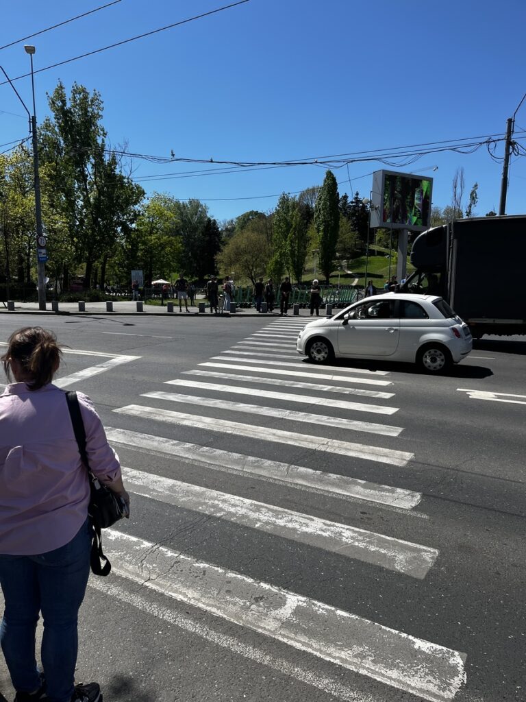 zebra crossing to entry of the tineretului park