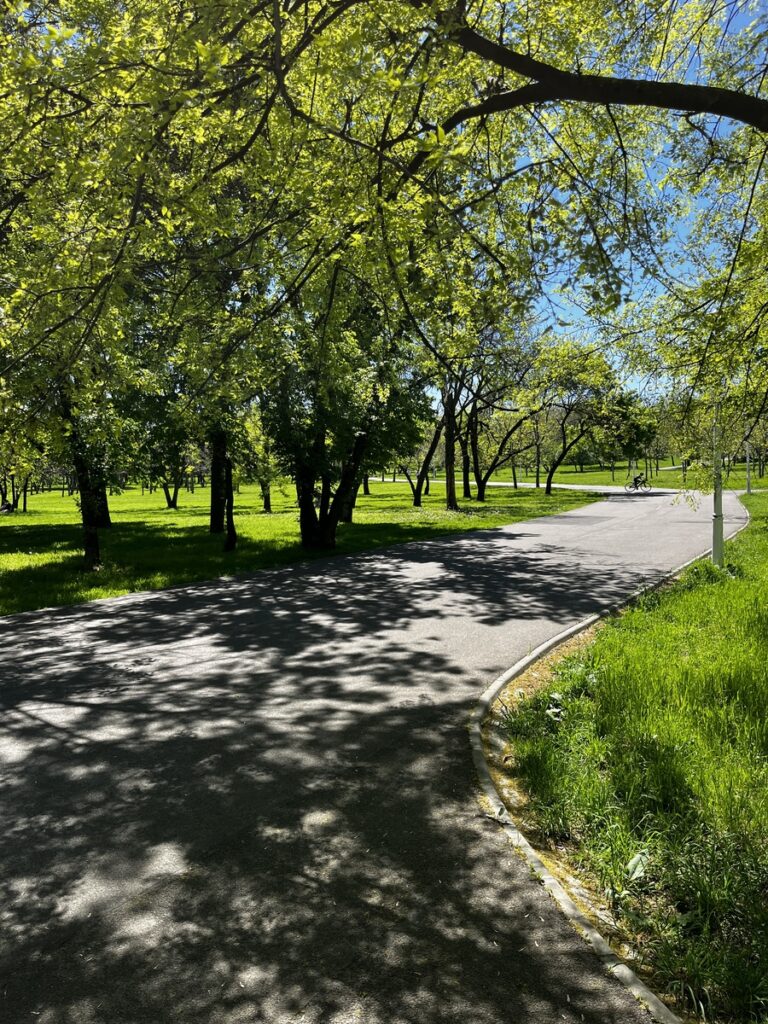 Shaded cycling path through green lawns in Tineretului Park, Bucharest