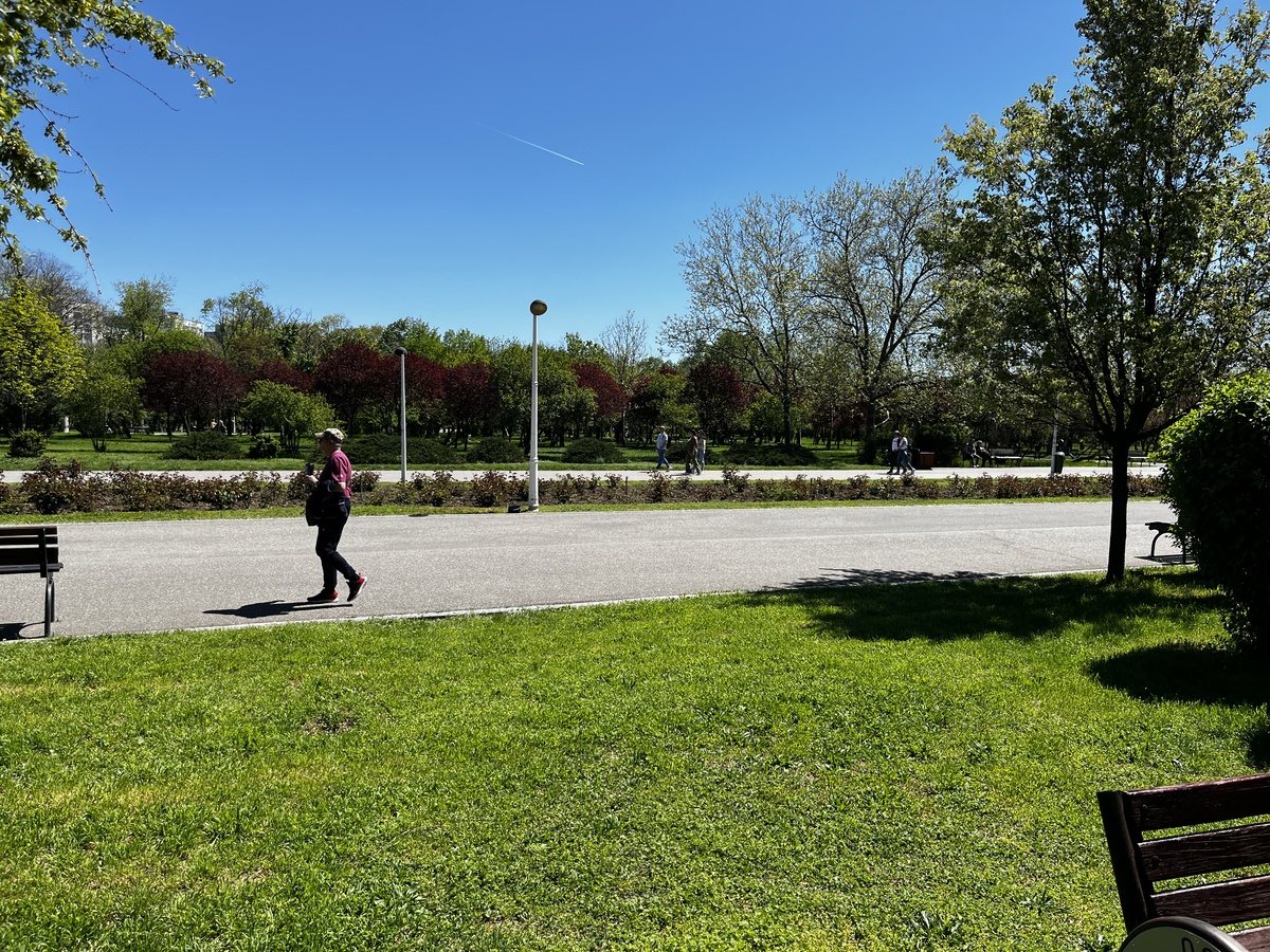 tineretului side photo of the boulevard