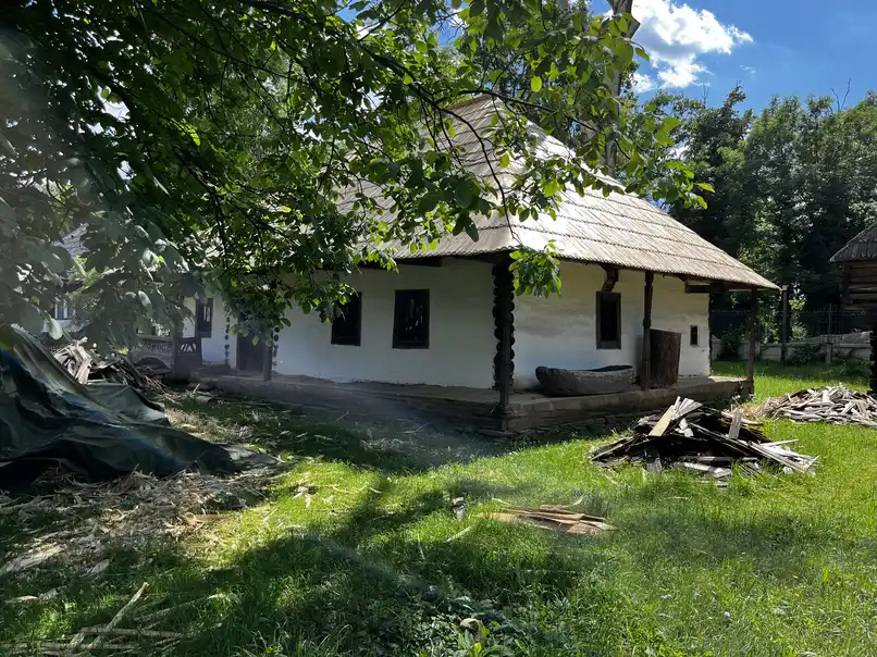 House from Năruja in Vrancea, with its porch and hillside setting.