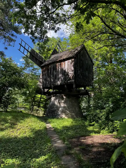 Wooden windmill from Valea Nucărilor in Tulcea, among the museum trees.