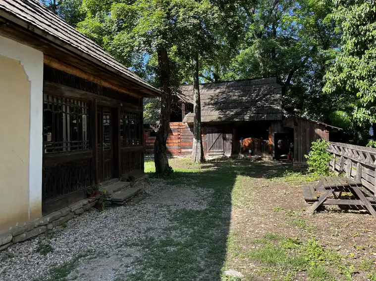 Hutsul household from Breaza in Suceava, with a house, stable and wood sheds.