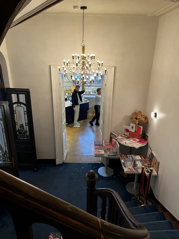 Wooden staircase with a blue carpet leading down to a chandelier at Casa Mița Biciclista