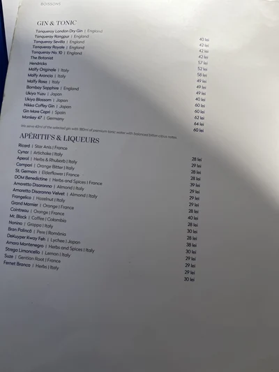 Printed gin and tonic and aperitif menu at La Mița Biciclista