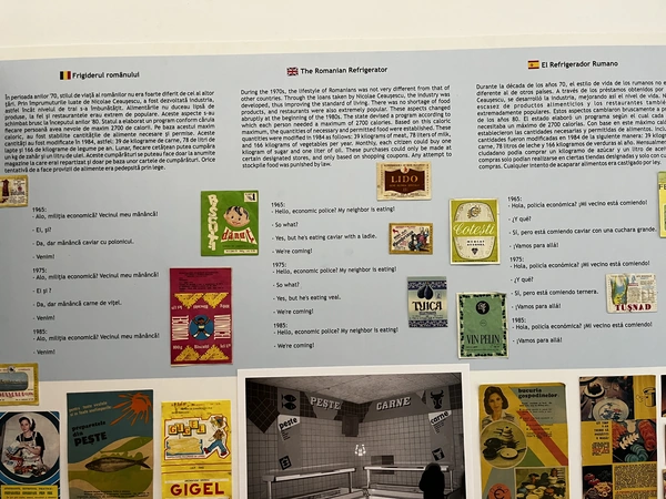 The Romanian Refrigerator panel with food labels and text in three languages.