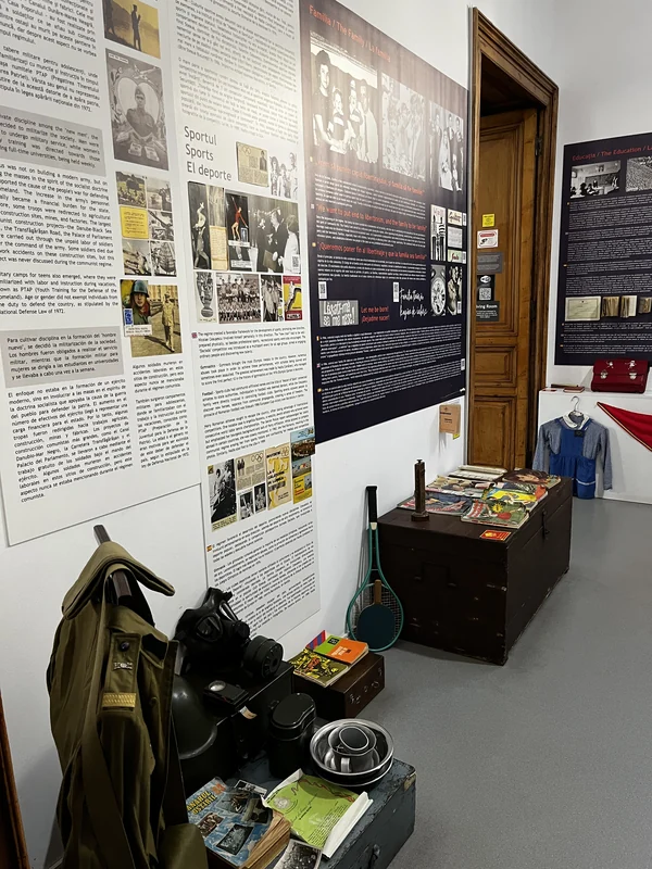Sports and everyday-life panels above books, luggage and small objects.